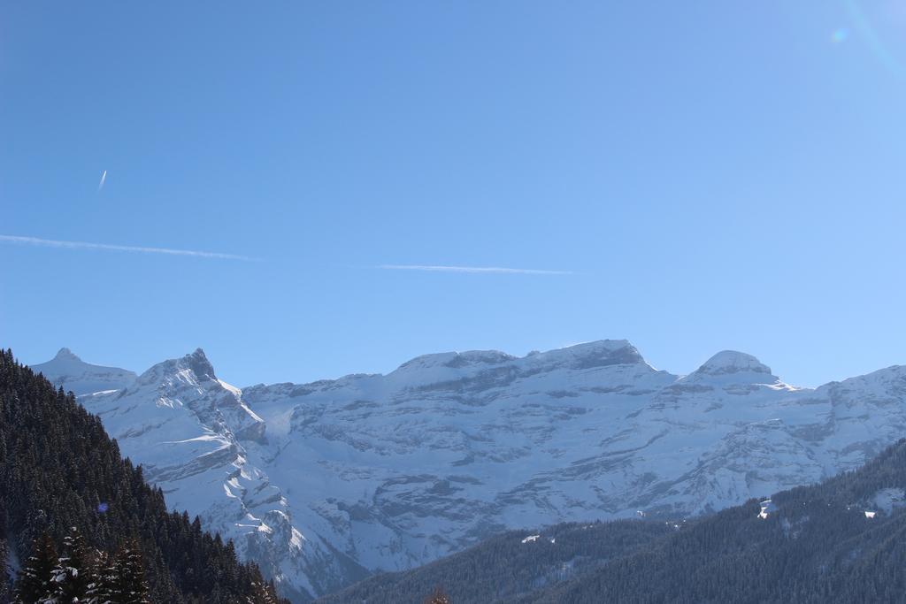 Les Frenes Lägenhet Leysin Exteriör bild