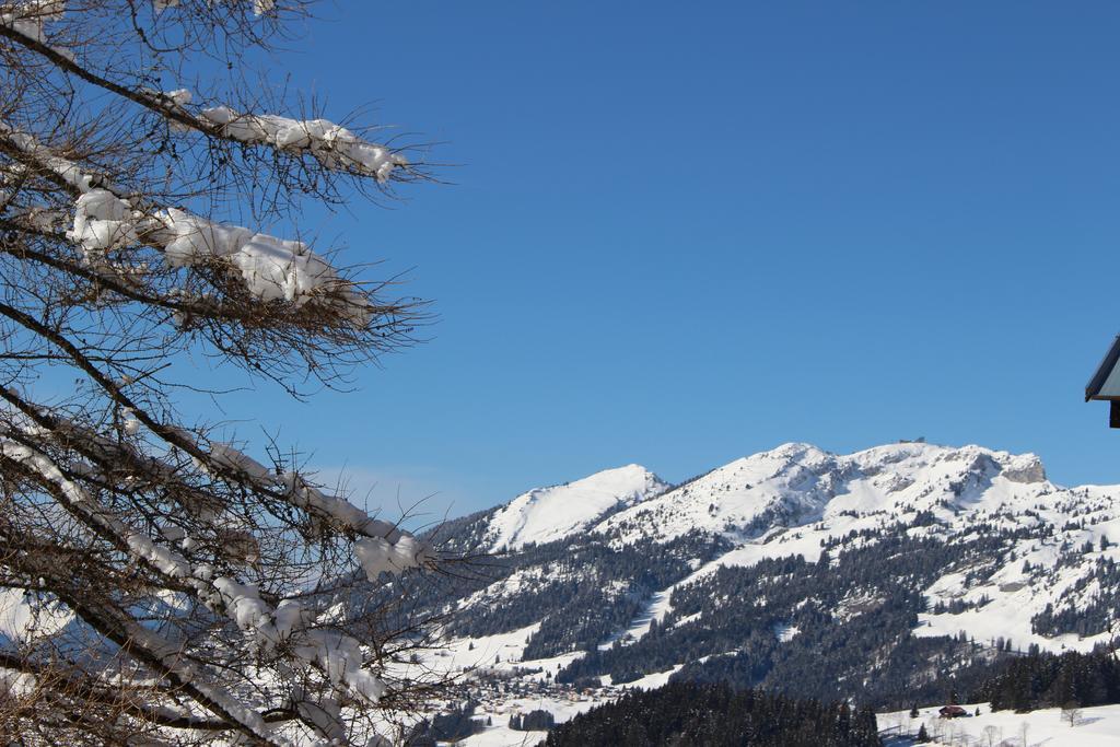 Les Frenes Lägenhet Leysin Exteriör bild